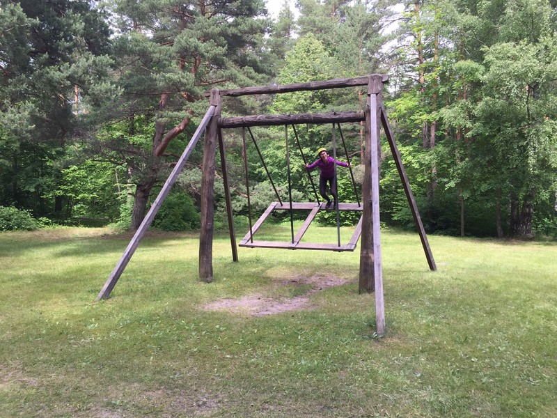 Common giant swing found in Estonia