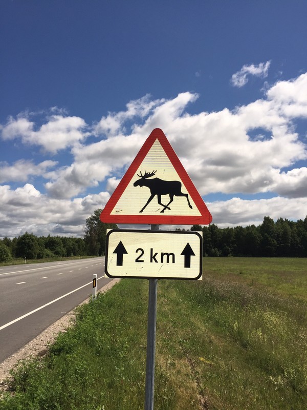 Yes, Virgina, there are moose in Estonia