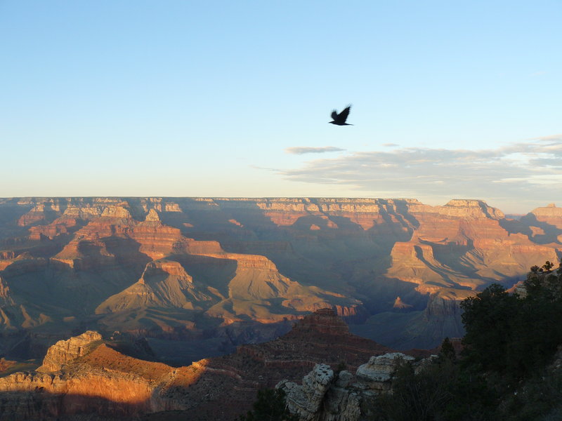 View from Mather Point with Condor