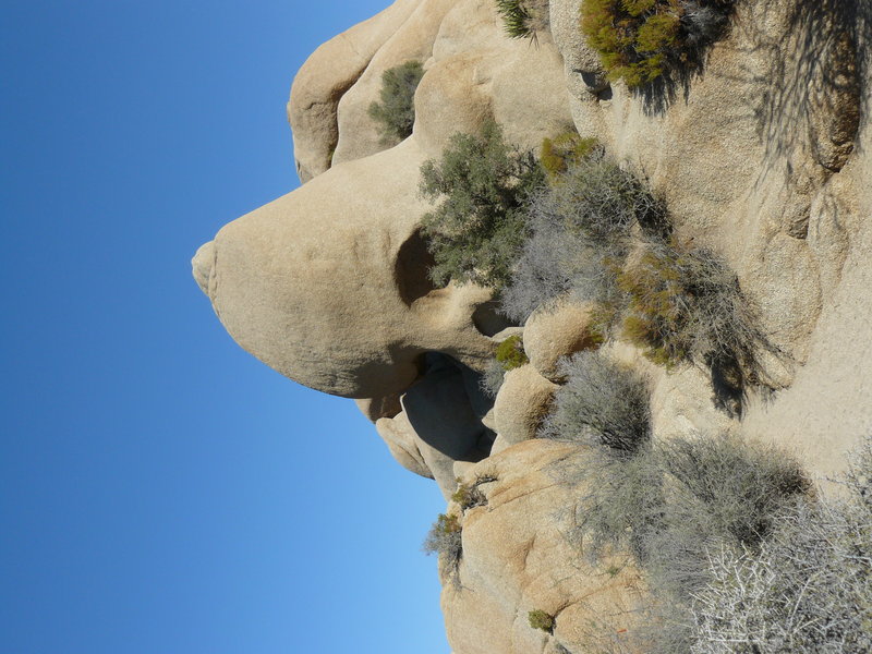 Skull Rock - Joshua Tree National Park