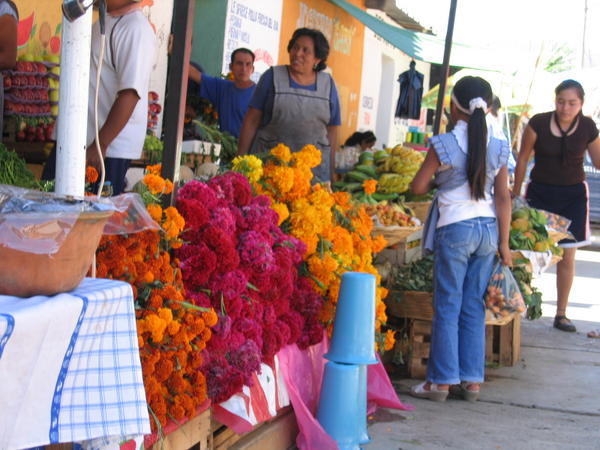 A Flower Vendor