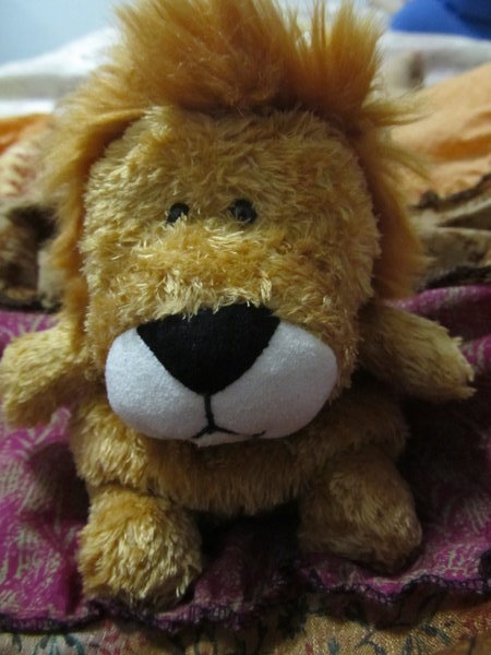 Rus, the lion Jord bought me.  :)