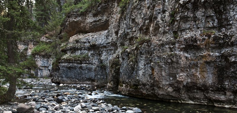 Near Pebble Creek Campground