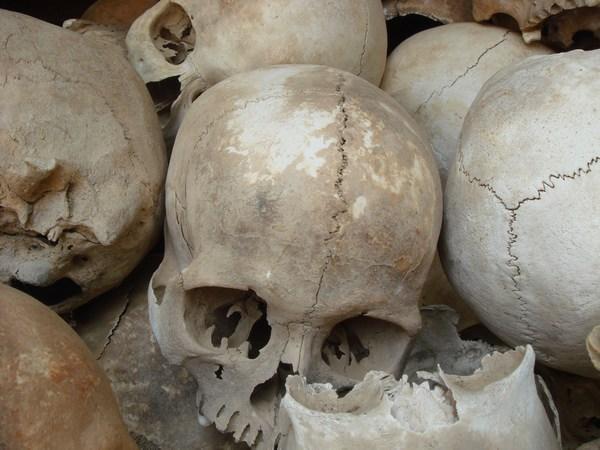The skulls of the victims