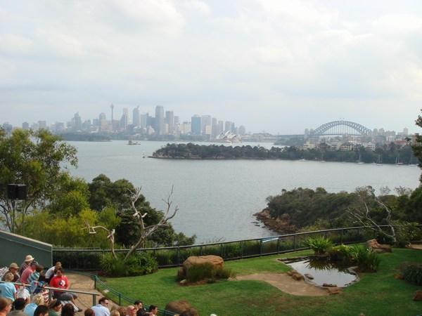 The view back over toward the city from Taronga zoo