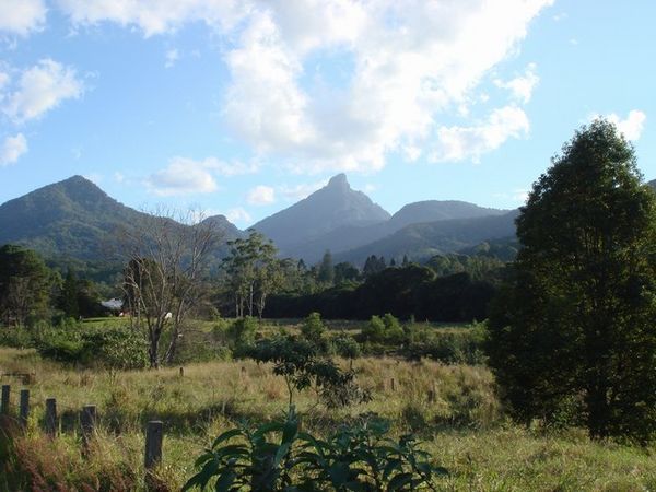 Mount warning in the distance