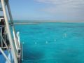 The cystal waters and cays of the Great Barrier Reef