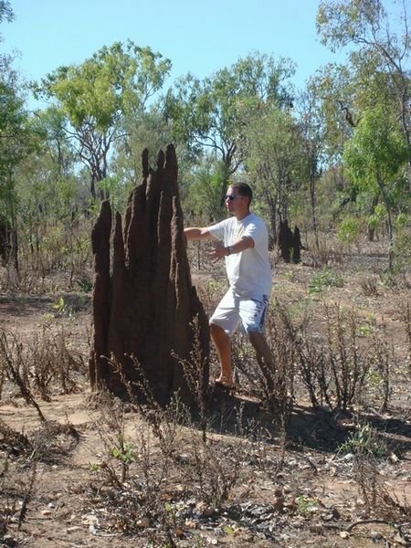 Me picking a fight with a big termite mound