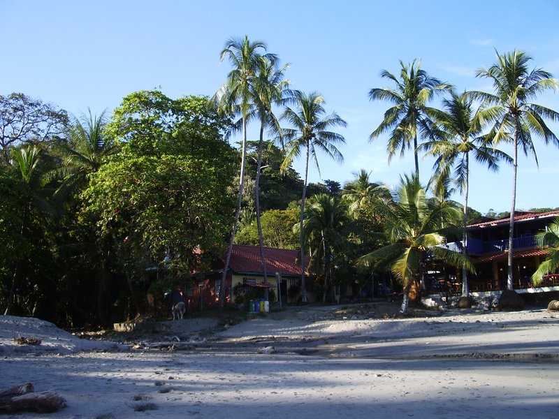 Beaches of the Nicoya Peninsula 