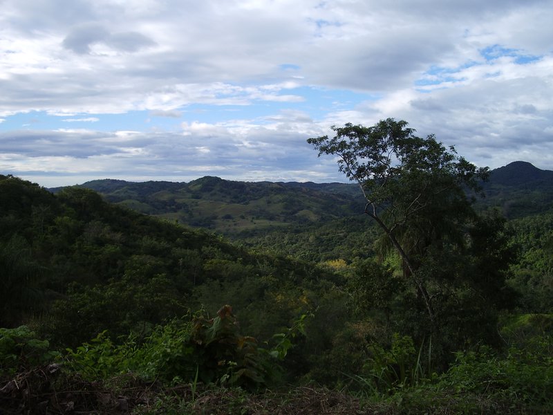 Road to Monteverde