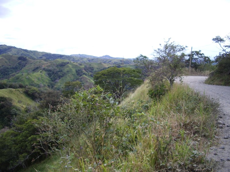 Road up to Monteverde