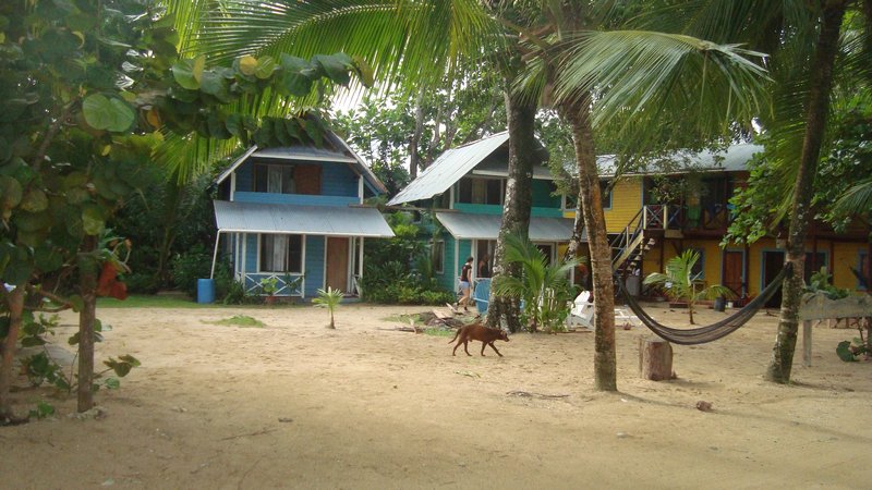 Bocas del Toro field station