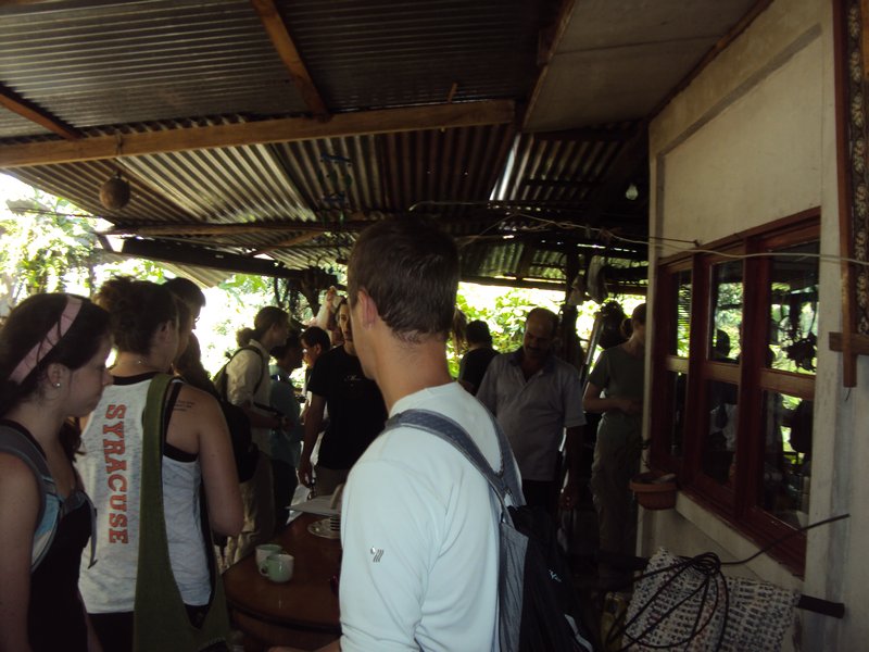 Las cruces coffee plantation