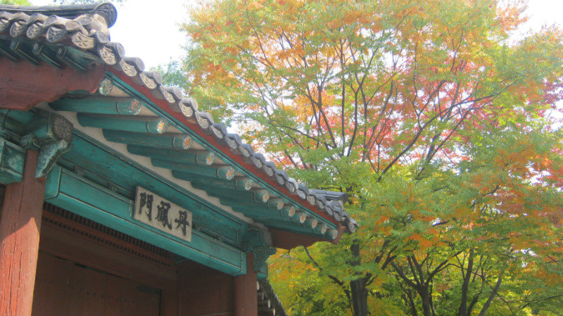 Autumn colours in Seoul