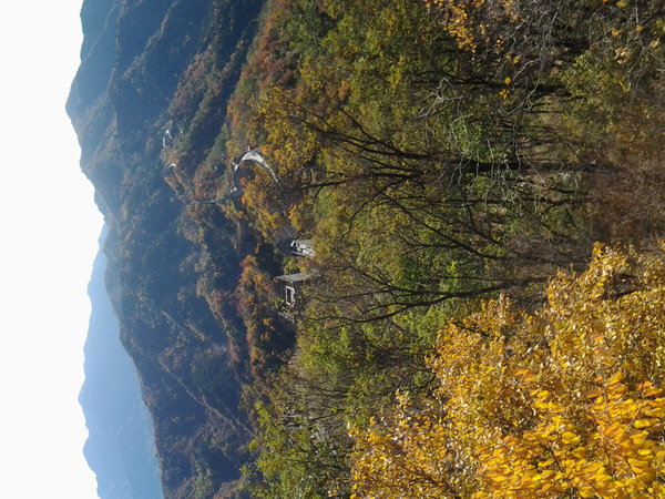 Great wall in Autumn