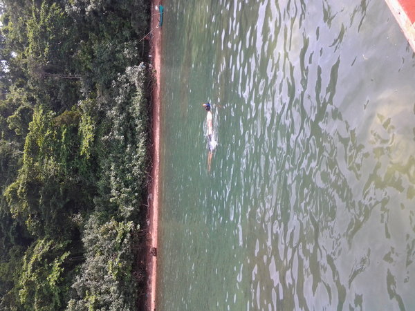 Non eventful snorkling at Snake Island