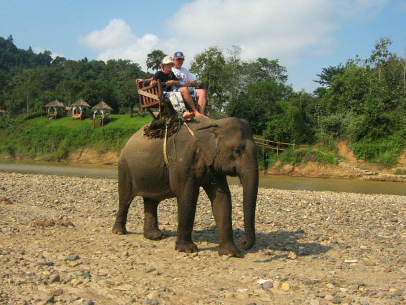 At elephant camp