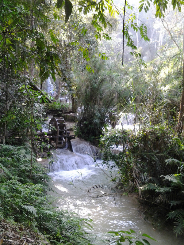 Downstream from 'bear' waterfall
