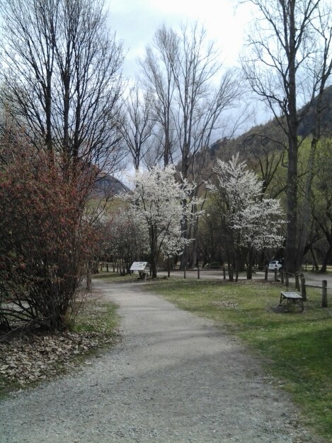 Arrowtown Chinese Settlement