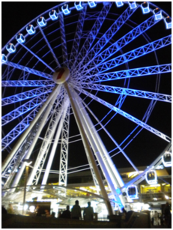 The Ferris Wheel in South Bank