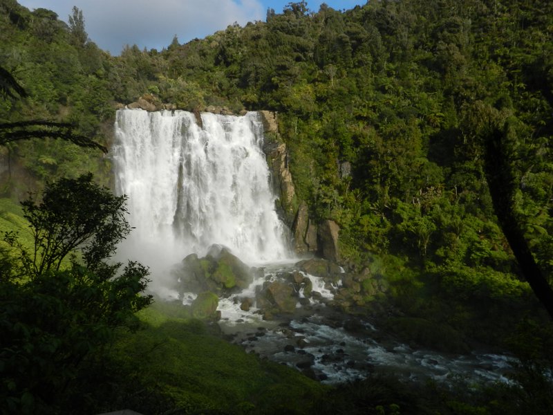 Waterfall @ Waitomo
