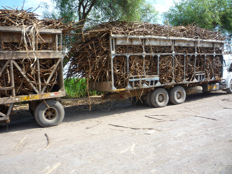 Sugar cane lorry