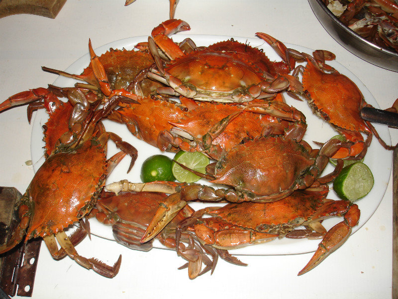 La Boquilla crabs