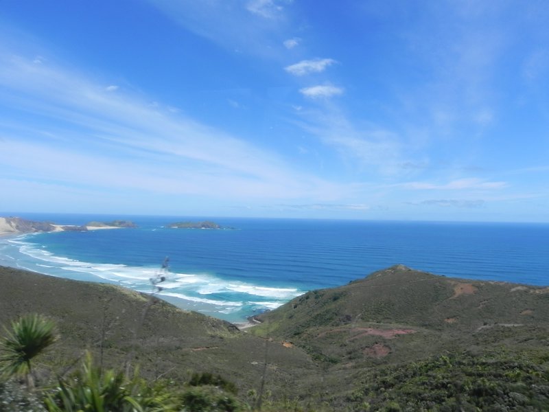 Blick auf die Tasman Sea - vom Cape Reinga