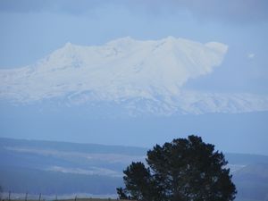 Mt Ruapehu - tief verschneit