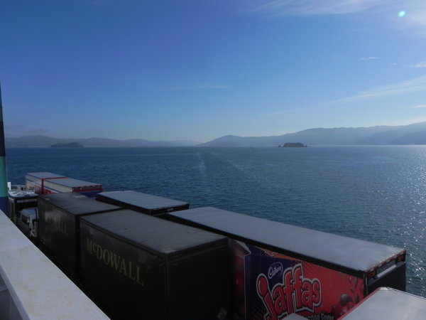 Ausblick vom Schiff - auf Wellington