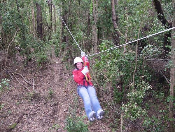 Canopy ropeslide 2