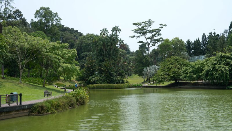 botanical garden lake