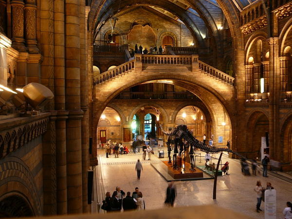 the natural history museum