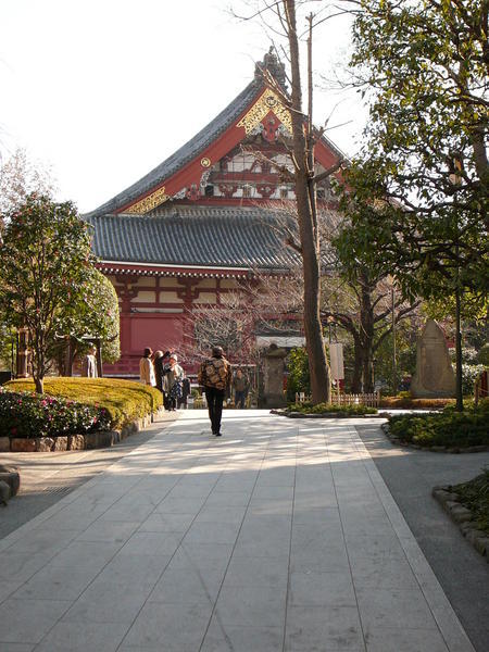 the temple (Senso-ji)