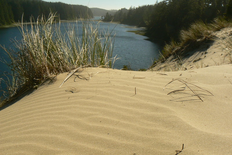 Fresh water lake below dunes