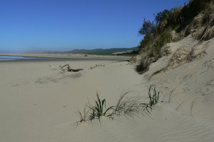Oregon ocean & dunes