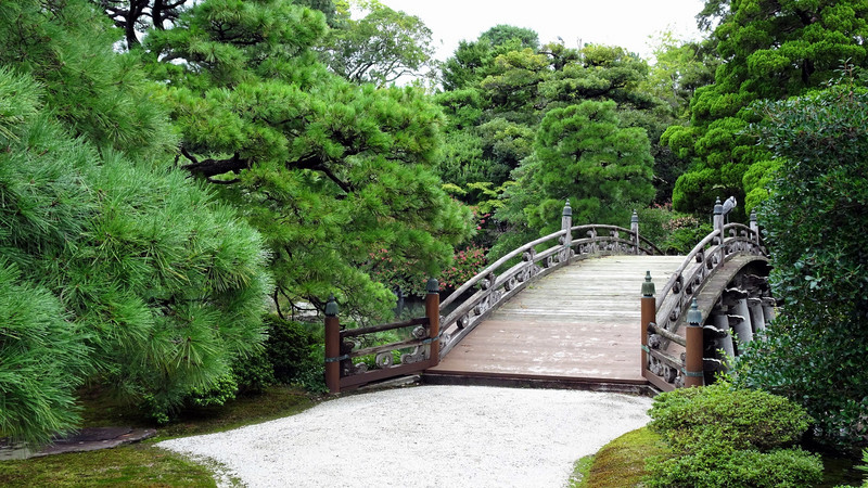 Flot japansk have