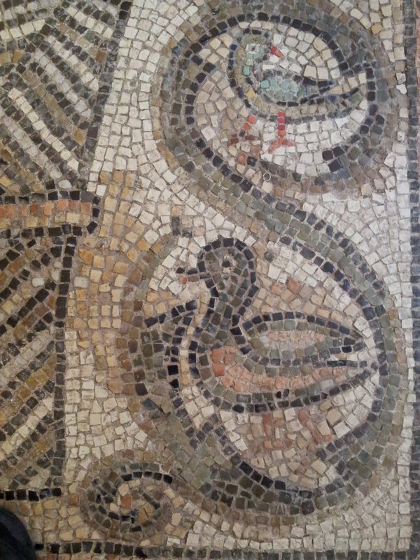 ... and the Duck of Ravenna