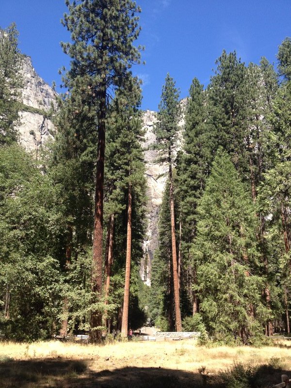 The spectacular upper and lower Yosemite falls, without water!