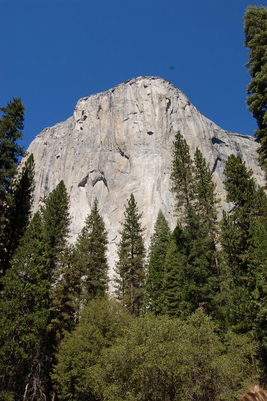 El Capitan, can you see the four climbers, try the next photo!