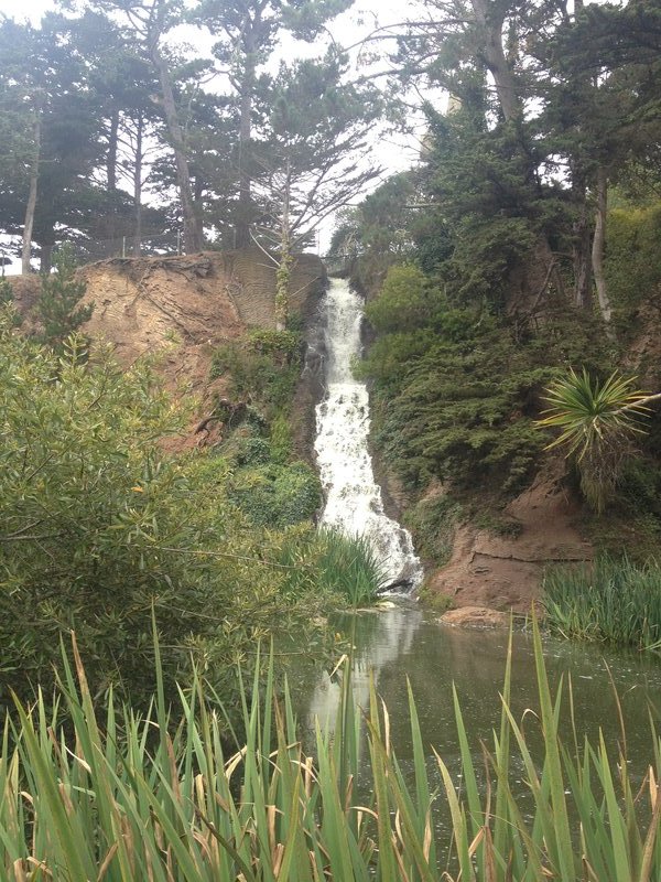 Waterfalls of Golden Gate Park