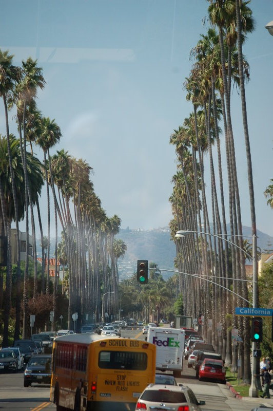 Beverly Hills Street Scene