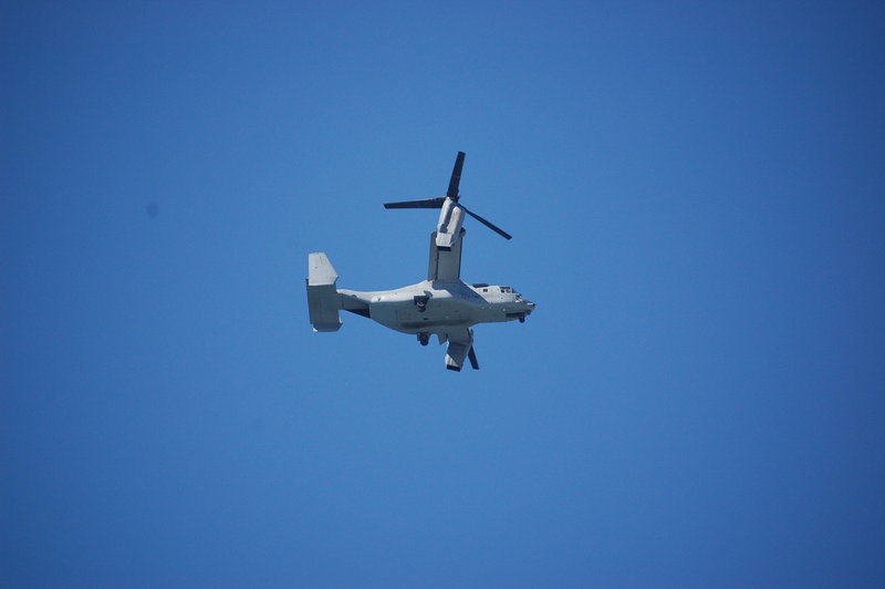 Ospreys change for landing