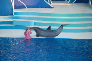 Strange girl in pyjamas with dolphin!