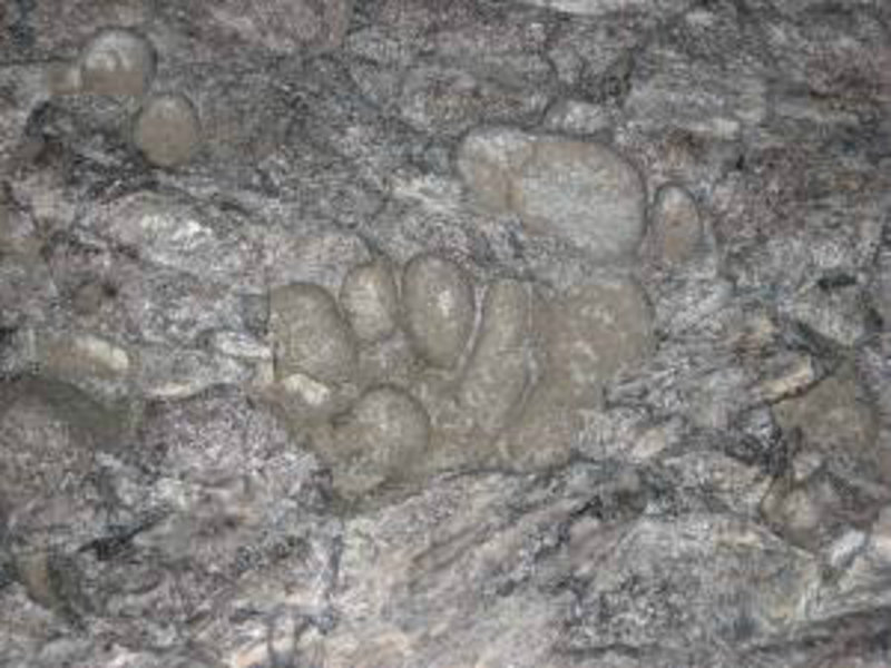 footprint in mud-ash