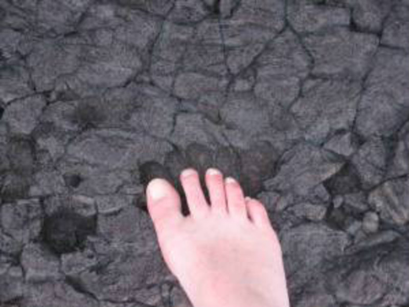 mud-ash footprint
