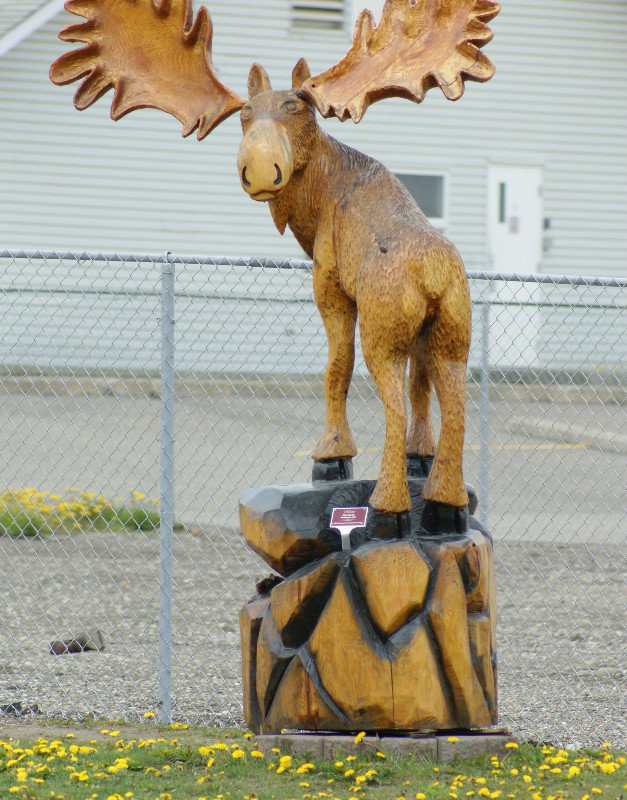 Chetwynd Moose