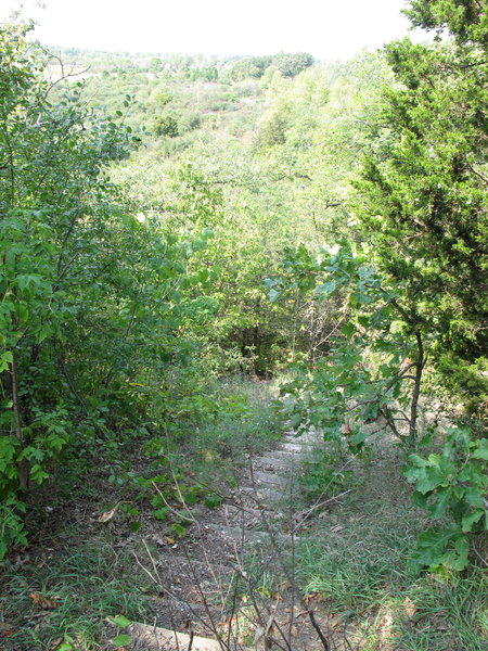 Start of the Stony Ridge Trail