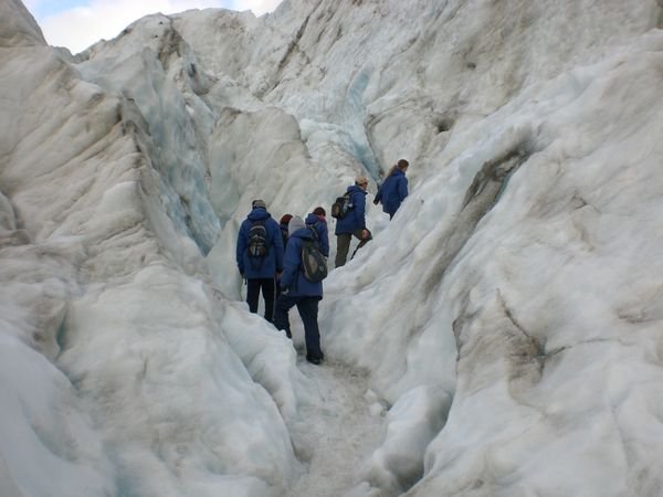 Glacier Walking - Franz Josef