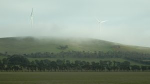 Fog and wind turbines at Hallet.